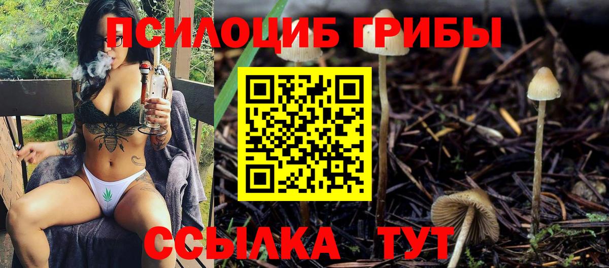 Псилоцибиновые грибы MAGIC MUSHROOMS Узловая